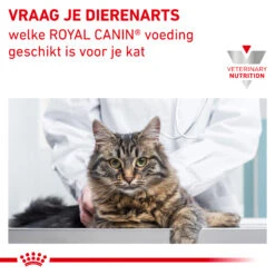 Royal Canin Satiety Weight Management Kat - Maaltijdzakje 17 Royal Canin Satiety Weight Management Kat - Maaltijdzakje -Huisdierproducten royal canin satiety weight management kat 156758 2000 none