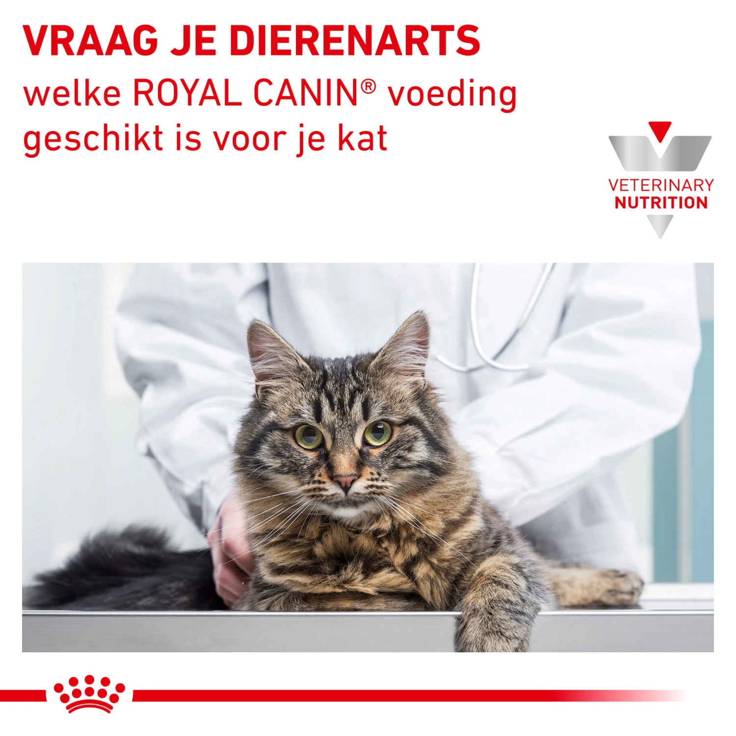 Royal Canin Satiety Weight Management Kat - Maaltijdzakje 8 Royal Canin Satiety Weight Management Kat - Maaltijdzakje - Afbeelding 8