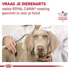 Royal Canin Urinary S/O Hond - Maaltijdzakje 13 Royal Canin Urinary S/O Hond - Maaltijdzakje -Huisdierproducten royal canin urinary so hond 153688 1000 none