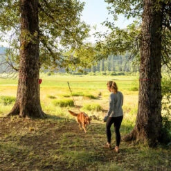 Ruffwear Knot-a-Hitch -Huisdierproducten ruffwear knot a hitch 124643 0500 none