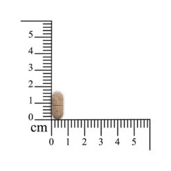 Sensipharm Inconti Stop Hond -Huisdierproducten sensipharm inconti stop hond 174532 1000 none