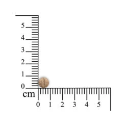 Sensipharm Inconti Stop Kleine Huisdieren -Huisdierproducten sensipharm inconti stop kleine huisdieren 174856 1000 none