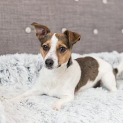 Trixie Bekleding-Beschermdeken Harvey -Huisdierproducten trixie bekleding beschermdeken harvey 206315 2000 none