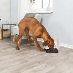 Trixie Dubbele Voederautomaat TX2 -Huisdierproducten trixie dubbele voederautomaat tx2 170914 1000 none