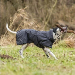 Trixie Hondenjas Calvi -Huisdierproducten trixie hondenjas calvi 207467 1000 none