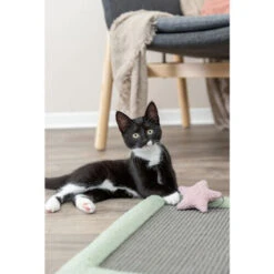 Trixie Junior Krabmat 9 Trixie Junior Krabmat -Huisdierproducten trixie junior krabmat 221246 0500 none