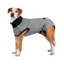 Trixie Operatie Hondenjas -Huisdierproducten trixie operatie hondenjas 95186 0500 none