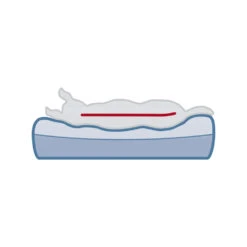 Trixie Vitaal Matras Bendson - Donkerbruin/Beige -Huisdierproducten trixie vitaal matras bendson donkerbruinbeige 178699 1000 none