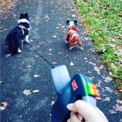 Wigzie Dual Doggie 3.0 -Huisdierproducten wigzi dual doggie 30 167845 0500 none