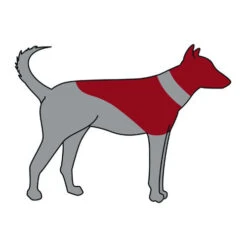 ZenPet Pro Collar -Huisdierproducten zenpet pro collar 193865 0500 none